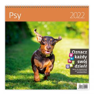 2024 Kalendarz Ścienny Narcissus Psy